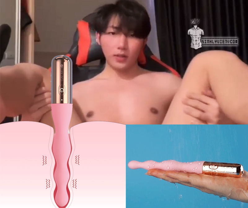 Máy rung cắm hậu môn kích thích điểm G